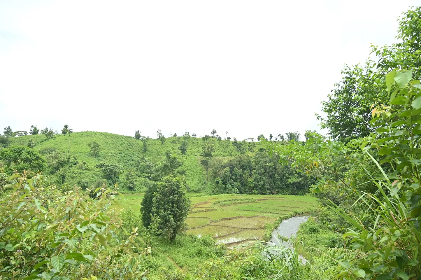Rooted in Community: Growing Resilience, One Village at a Time